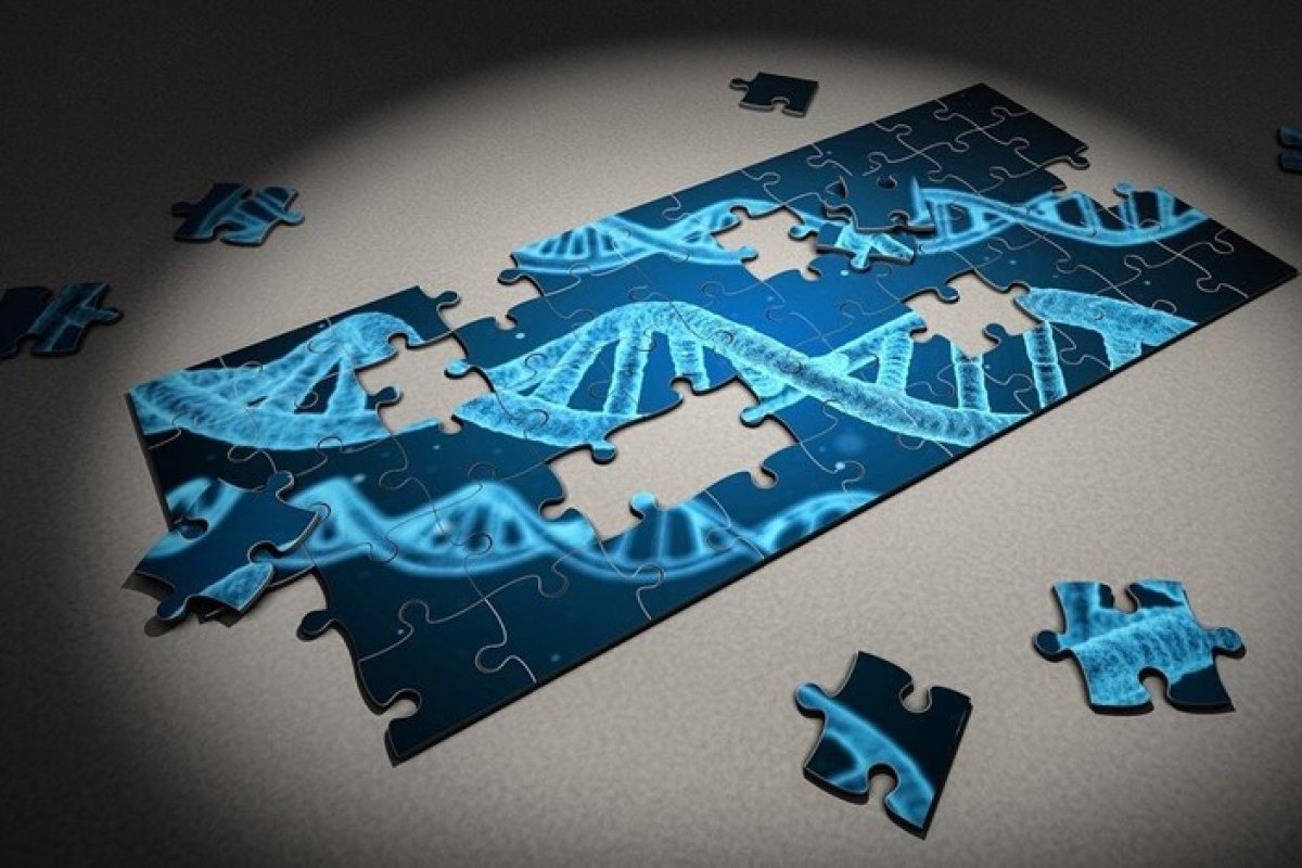 Cientistas afirmam ter concluído sequenciamento do genoma humano