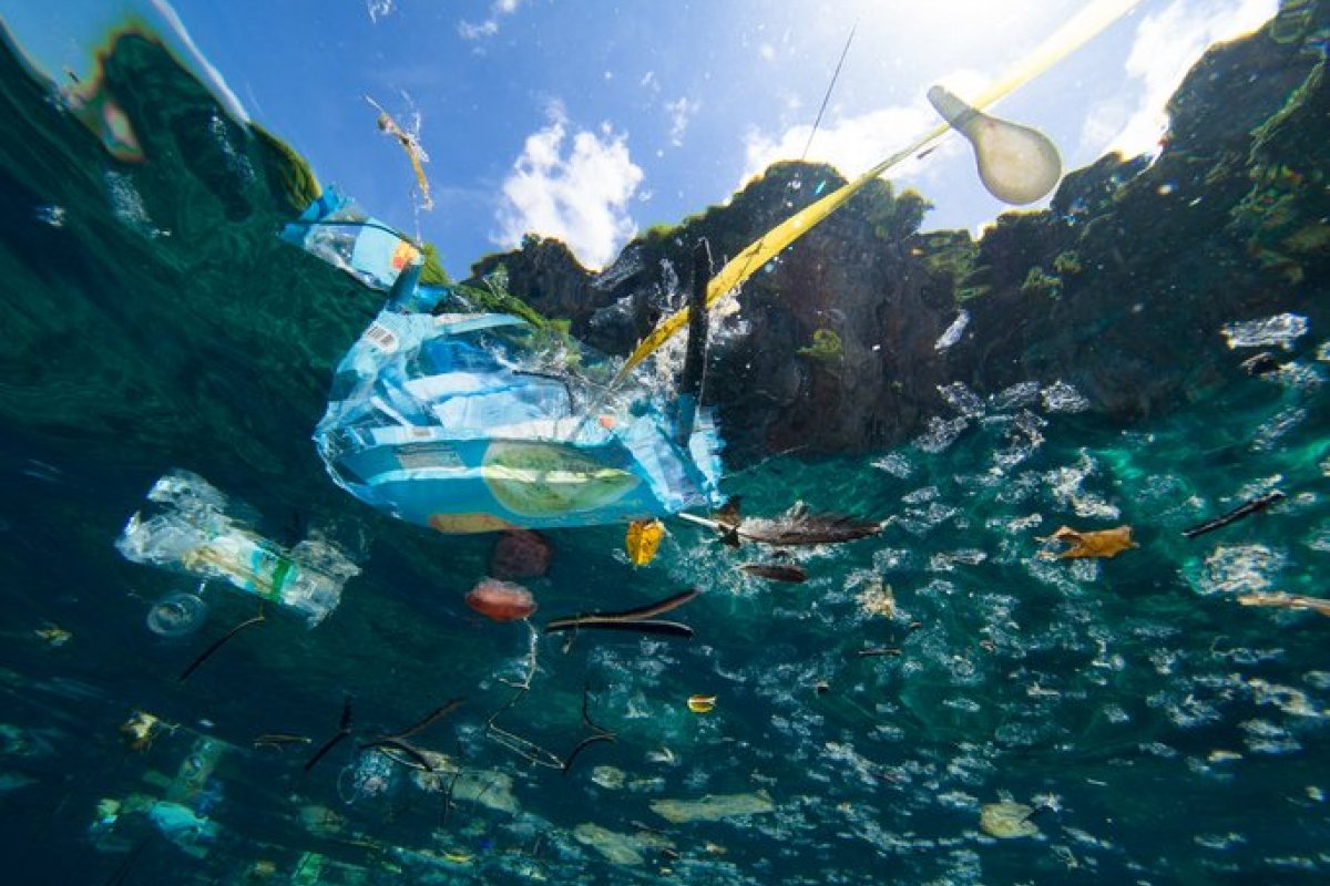 Audiência na Câmara de Vereadores discute impacto da economia do mar em Salvador