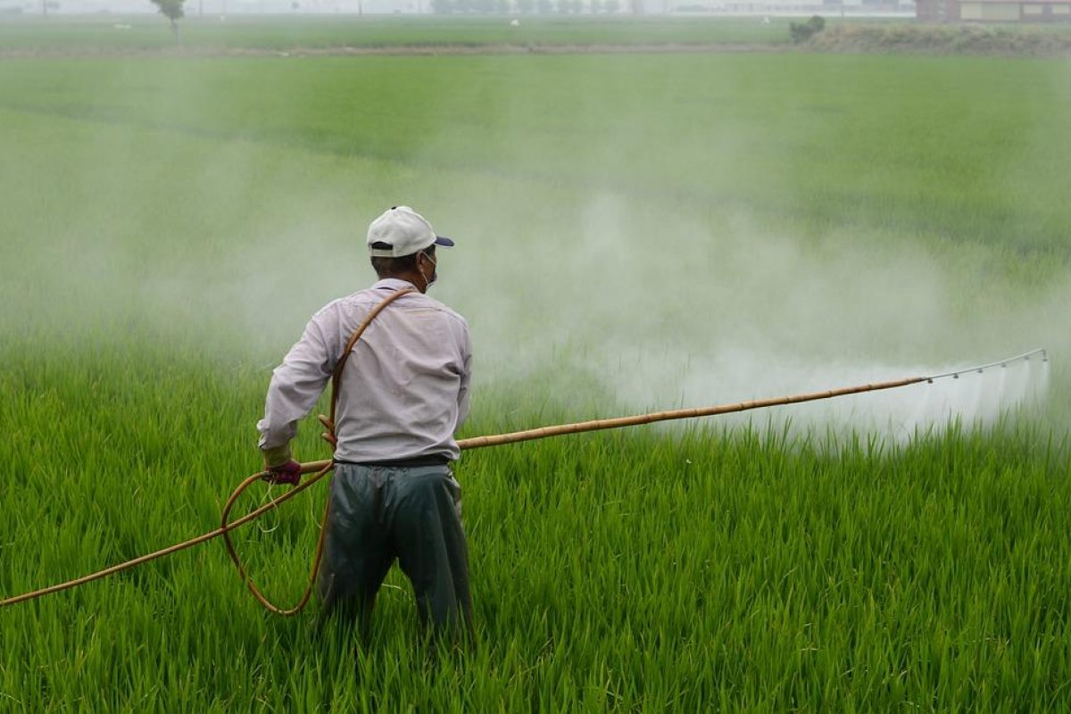 Justiça atende MPBA e suspende uso de agrotóxicos em áreas próximas de moradias em Abaré