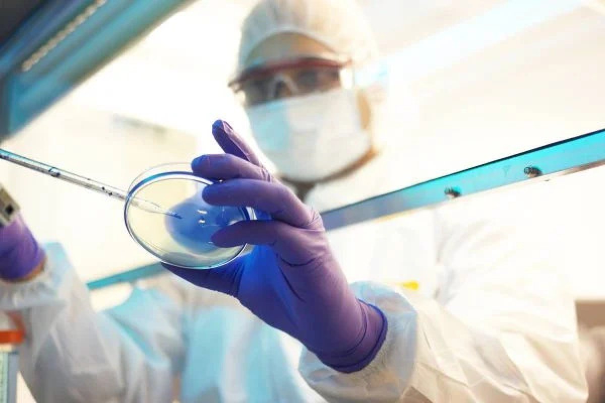 Cientistas encontram biomarcadores que comprovam o sucesso da vacina AztraZeneca/Oxford