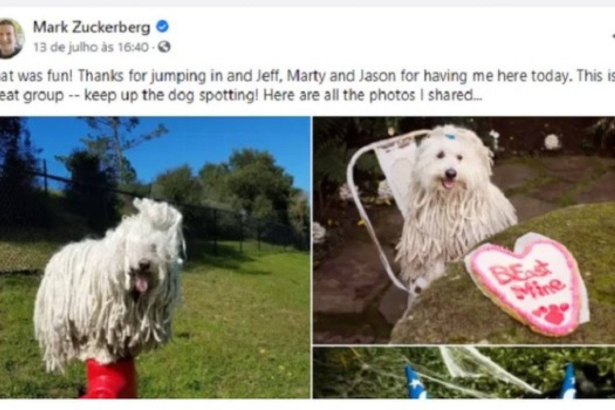 Mark Zuckerberg entra em grupo de cães no Facebook e usuários tentam expulsá-lo 
