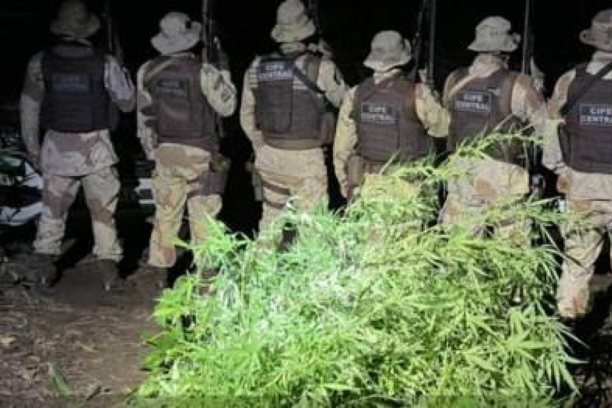 Bahia é o Estado que teve o maior número de mortes em operações no Brasil