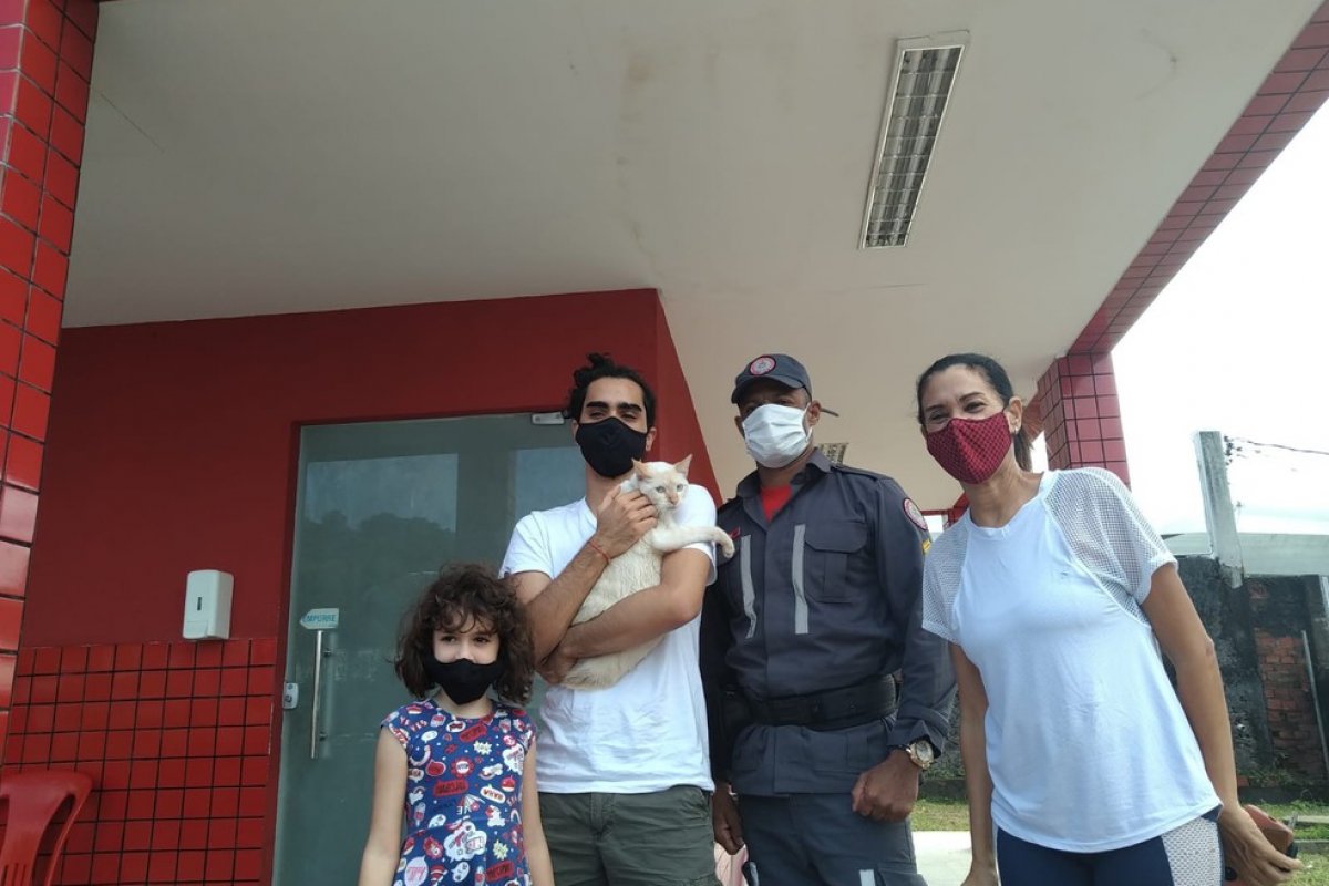 Bombeiro resgata gato que ficou preso em grade do metrô em Salvador