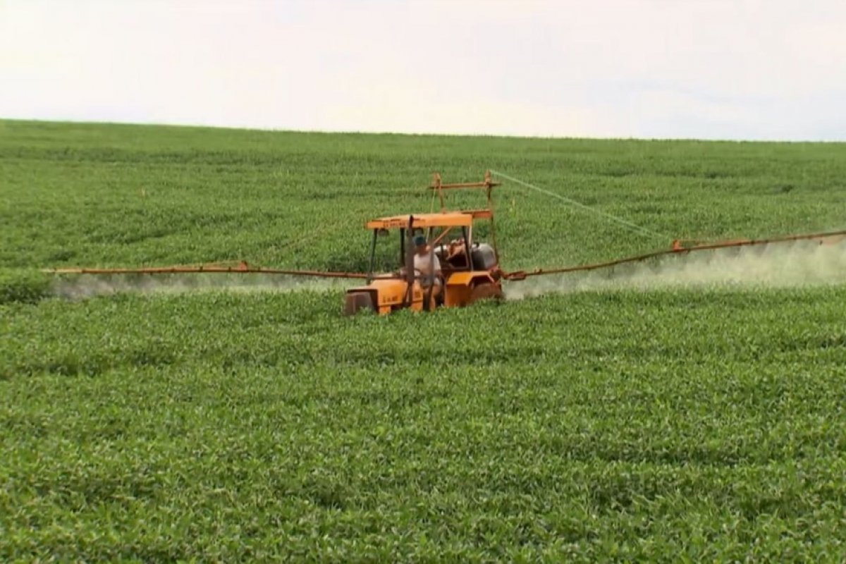Governo autoriza mais 63 agrotóxicos