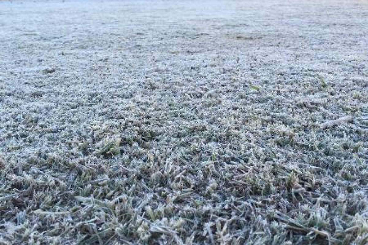 Seca e frio devem implicar nos preços dos alimentos