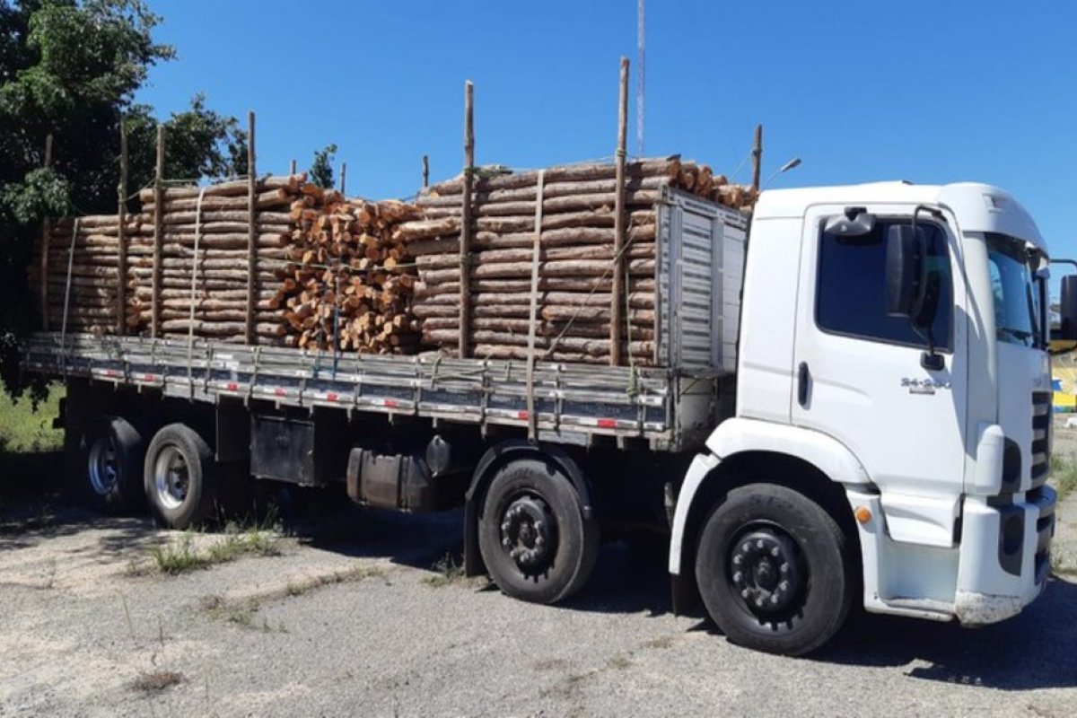 Preso homem por transportar madeira de origem ilegal no interior da Bahia