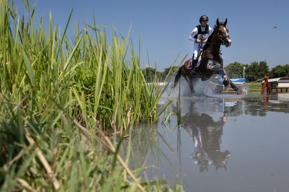  Cavalo sofre lesão em prova das Olimpíadas e é sacrificado