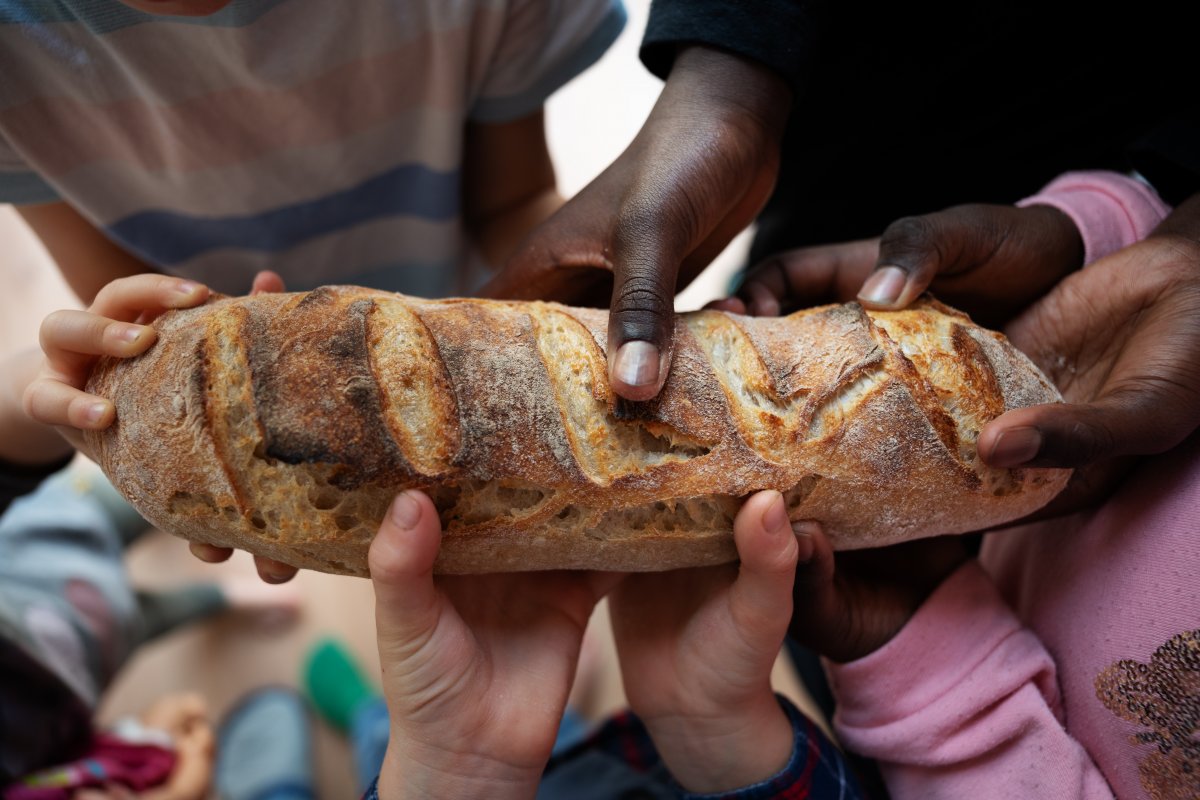 Pandemia no prato: cresce número de famílias que passam fome no Brasil e campanhas buscam ajudar
