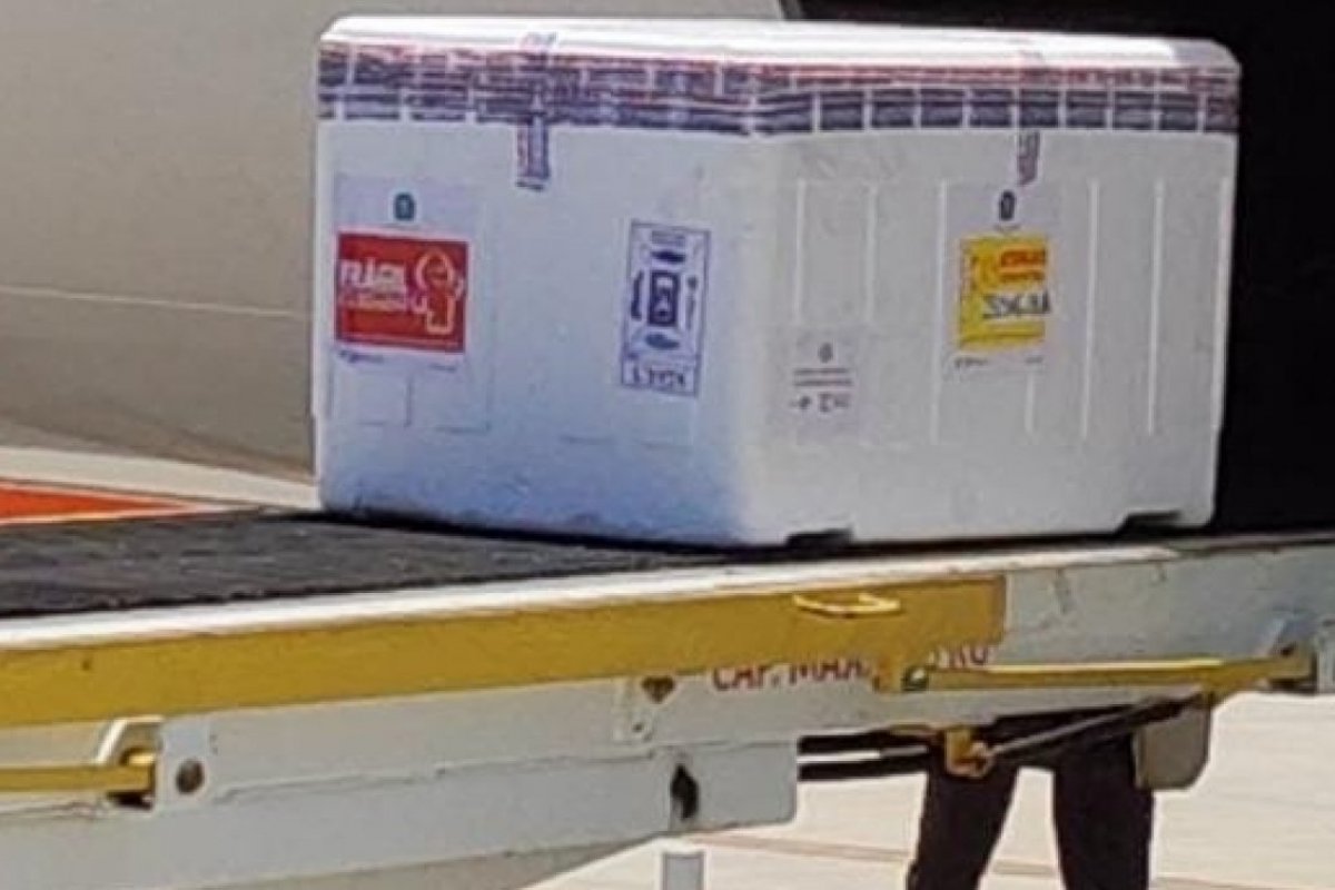 Governo Federal envia à Bahia 318.080 doses de vacinas contra Covid-19