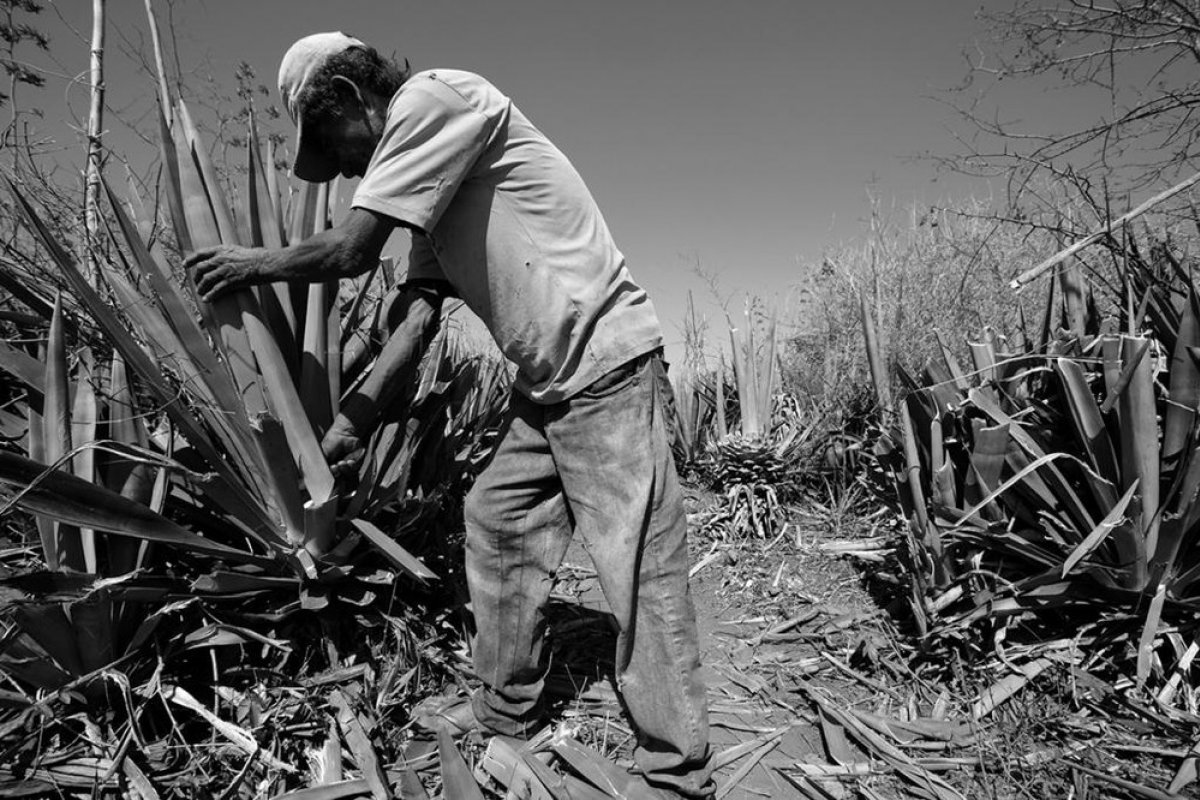 MPT aciona empresa da Bahia envolvida em trabalho análogo à escravidão