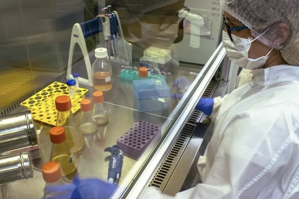 Anvisa recebe pedido da UFRJ para estudos de vacina contra Covid-19 