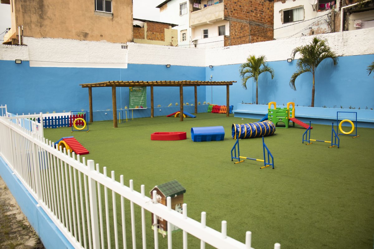 Mundo Pet inaugura espaço de convivência no Rio Vermelho 