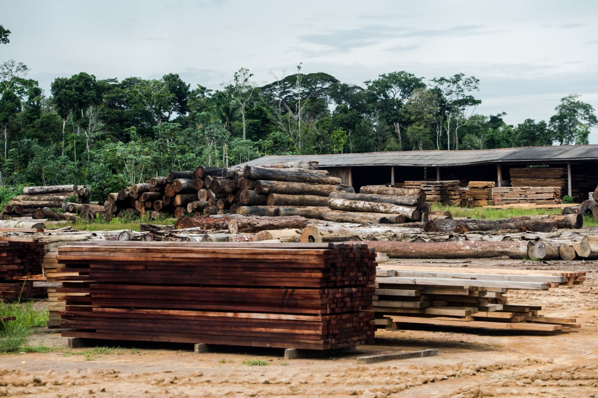 Produção florestal baiana cai pelo segundo ano consecutivo e atinge menor patamar desde 2008