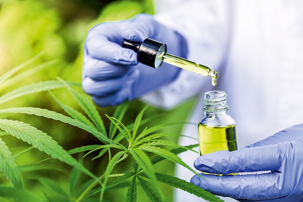 Estudo afirma que canabidiol é eficaz contra síndrome burnout