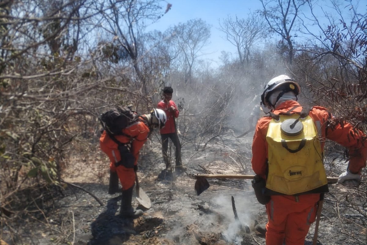 Polícia investiga causa de incêndio que já dura sete dias no norte da Bahia 