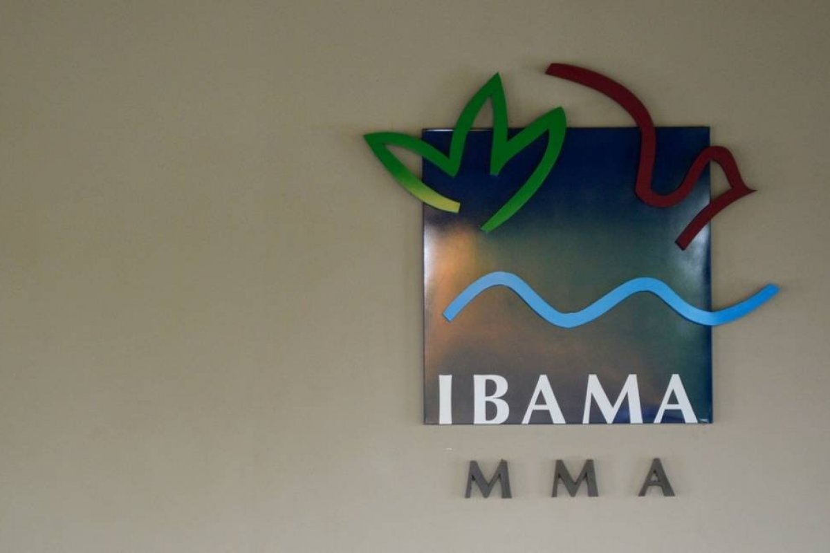 Almirante que chefia Ibama no RJ deve ser demitido na próxima semana