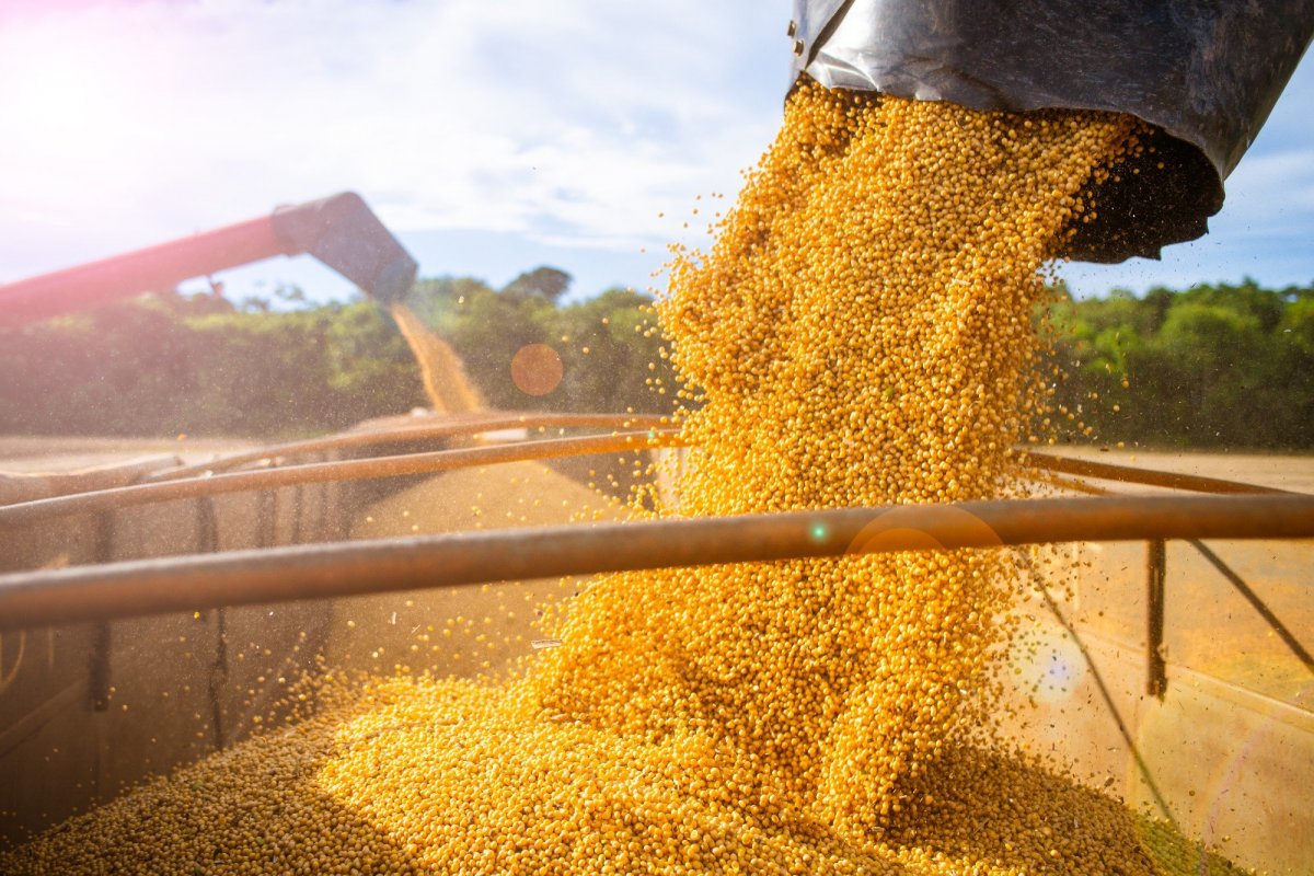 Faturamento da agropecuária brasileira em 2021 deve chegar a 1 trilhão de reais 