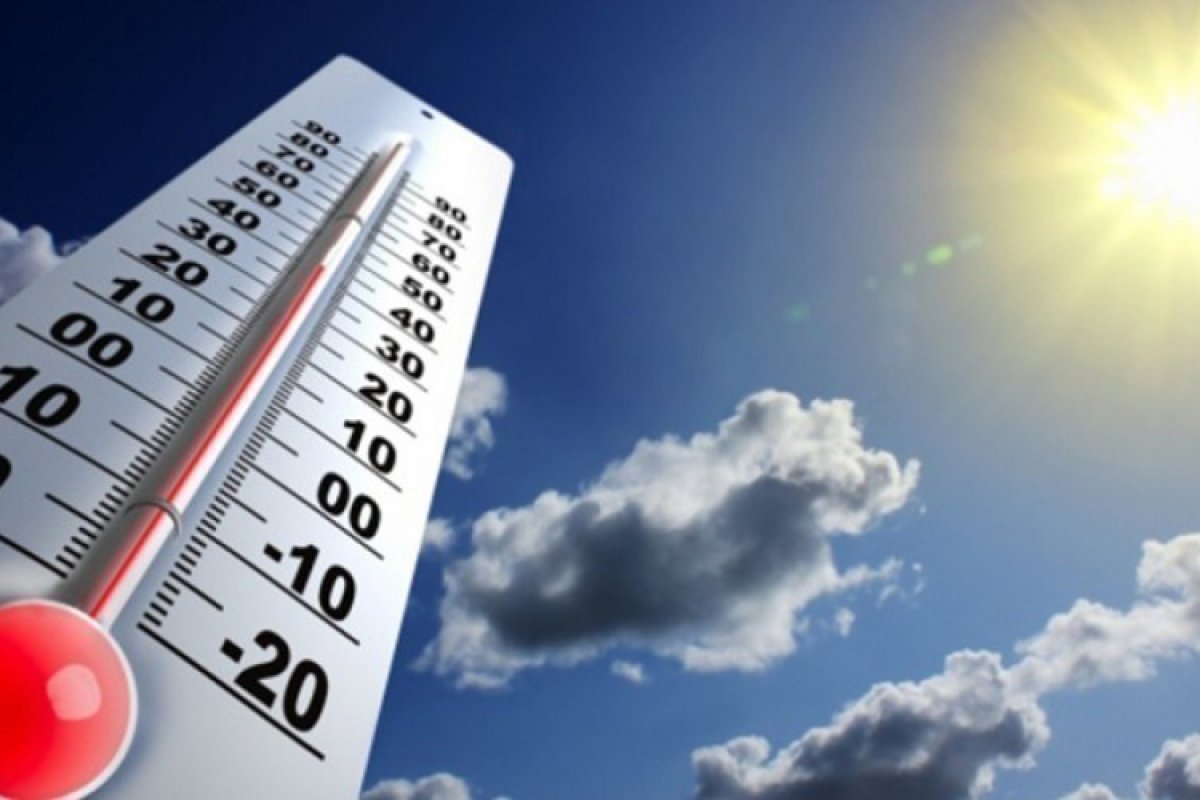 ONU revela que a temperatura mundial dos últimos 5 anos tem maior média da história
