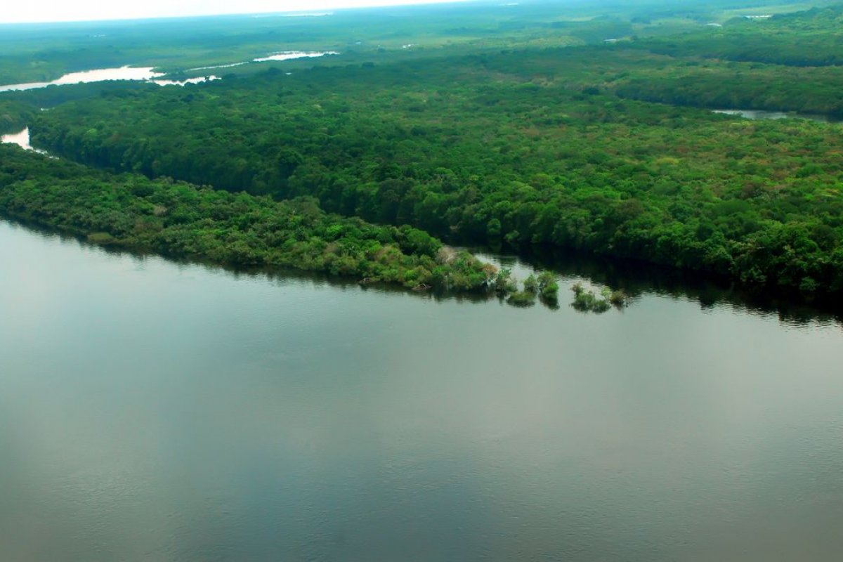 Amazônia perdeu em um ano área equivalente à três vezes a capital de São Paulo