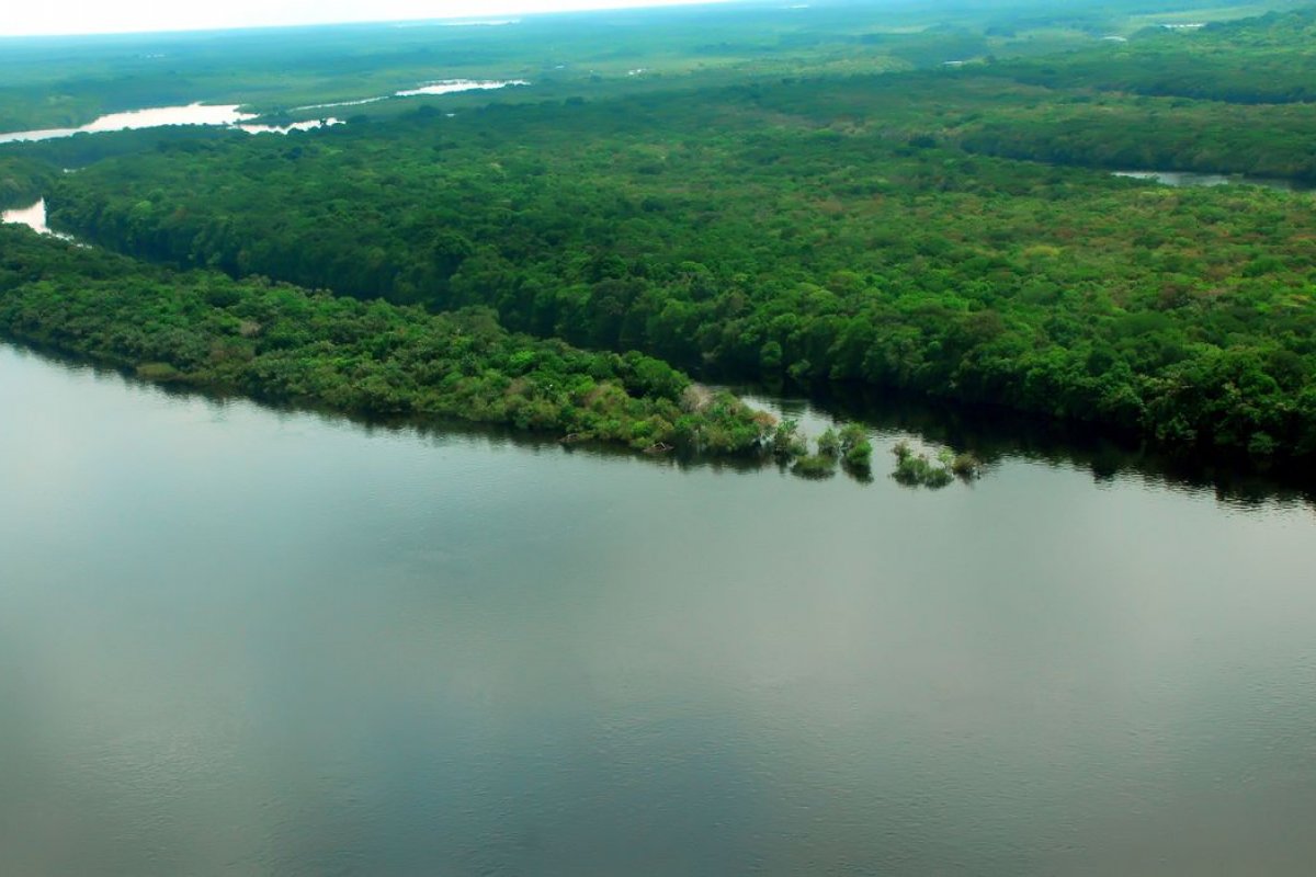 Hamilton Mourão visita a Amazônia na companhia de embaixadores