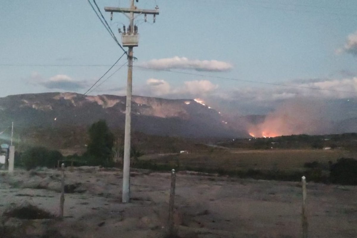 Focos de incêndio são controlados em área de vegetação na Chapada Diamantina