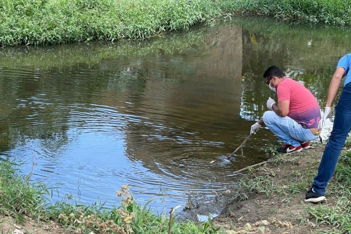 Pescaria é proibida em rio do sudoeste da Bahia após surgimento de lama e 100 mil peixes mortos