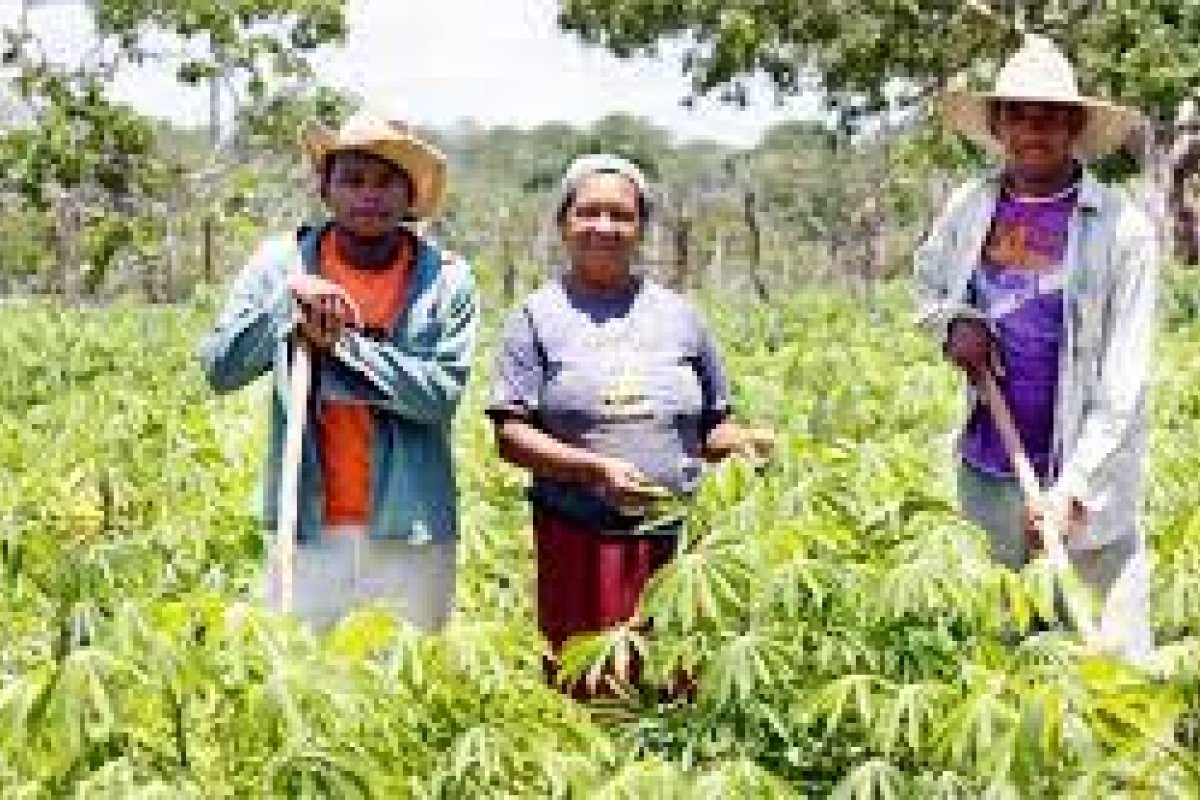 IGBE: De 2019 para 2020, agricultura baiana teve maior aumento em 26 anos  