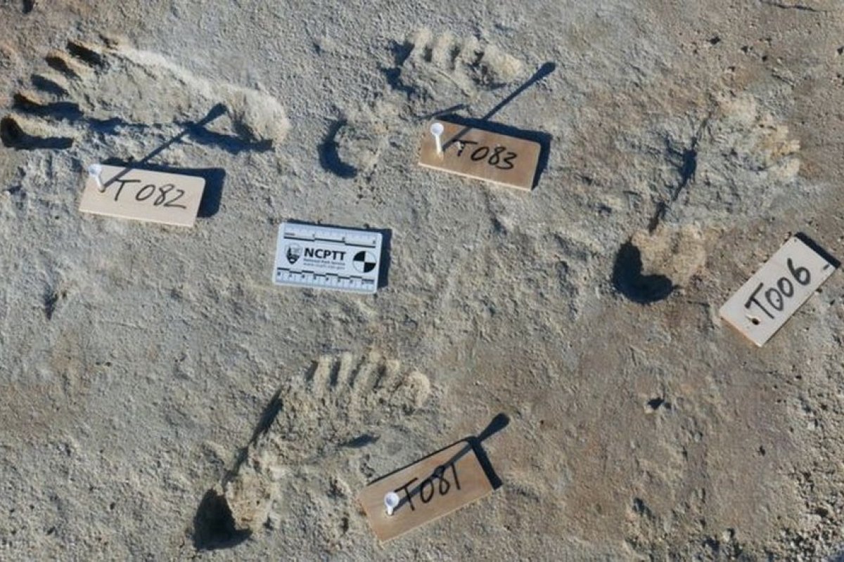 Cientistas encontram pegadas humanas que foram datadas entre 23 mil e 21 mil anos atrás