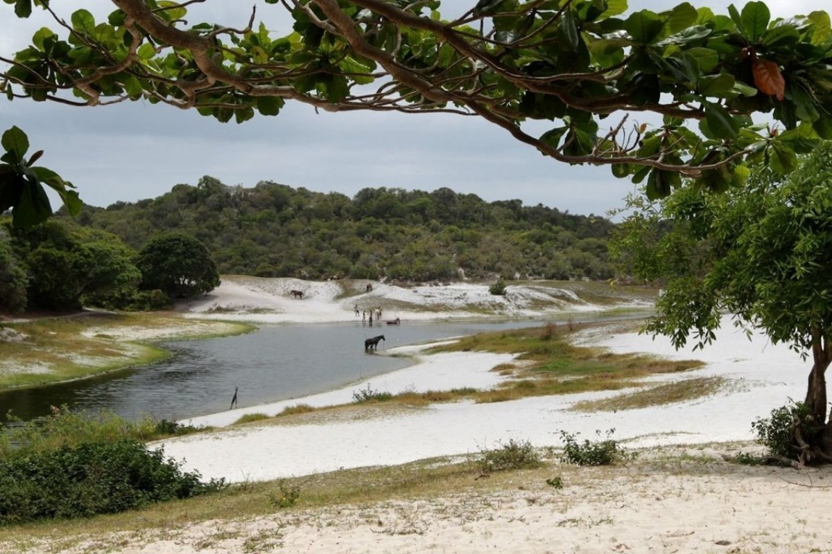 Ministério Público cobra Iphan sobre tombamento da Lagoa do Abaeté