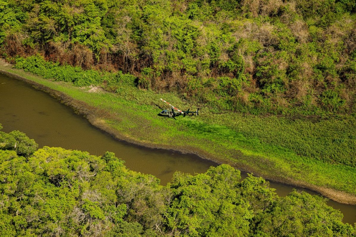 Pantanal brasileiro perdeu 29% da superfície de água em 30 anos, diz estudo