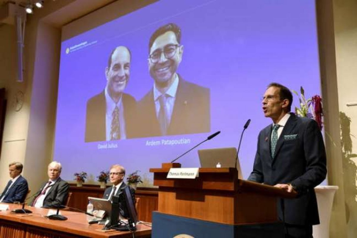 David Julius e Ardem Patapoutian ganham Nobel de Medicina 2021 por descobertas sobre temperatura e toque