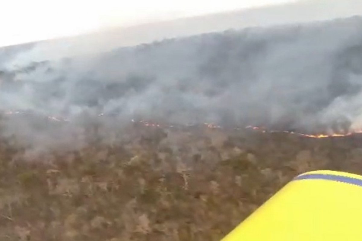 29 focos de calor são identificados em 13 municípios da Bahia