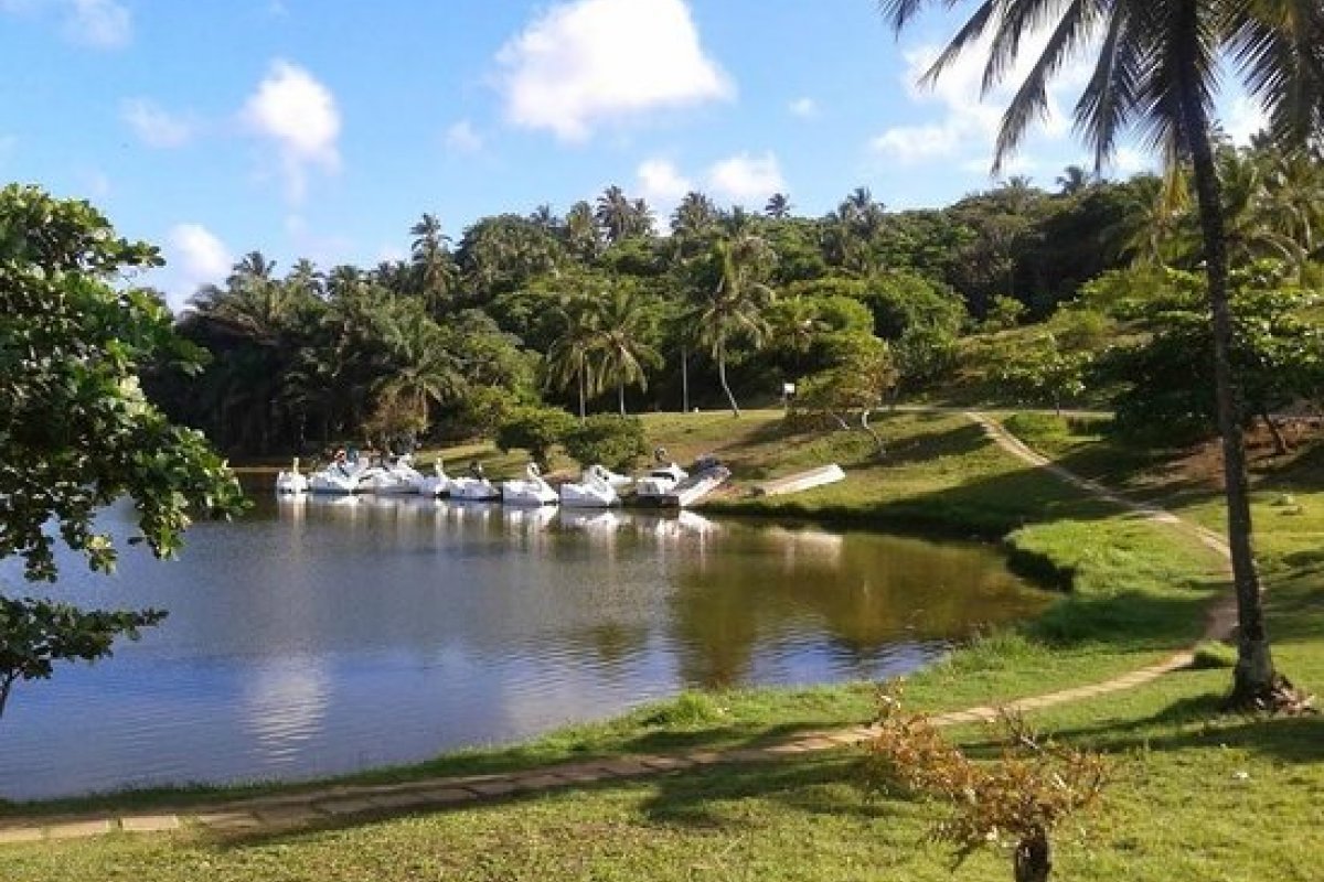Parques de Salvador são opções de lazer para crianças no feriadão