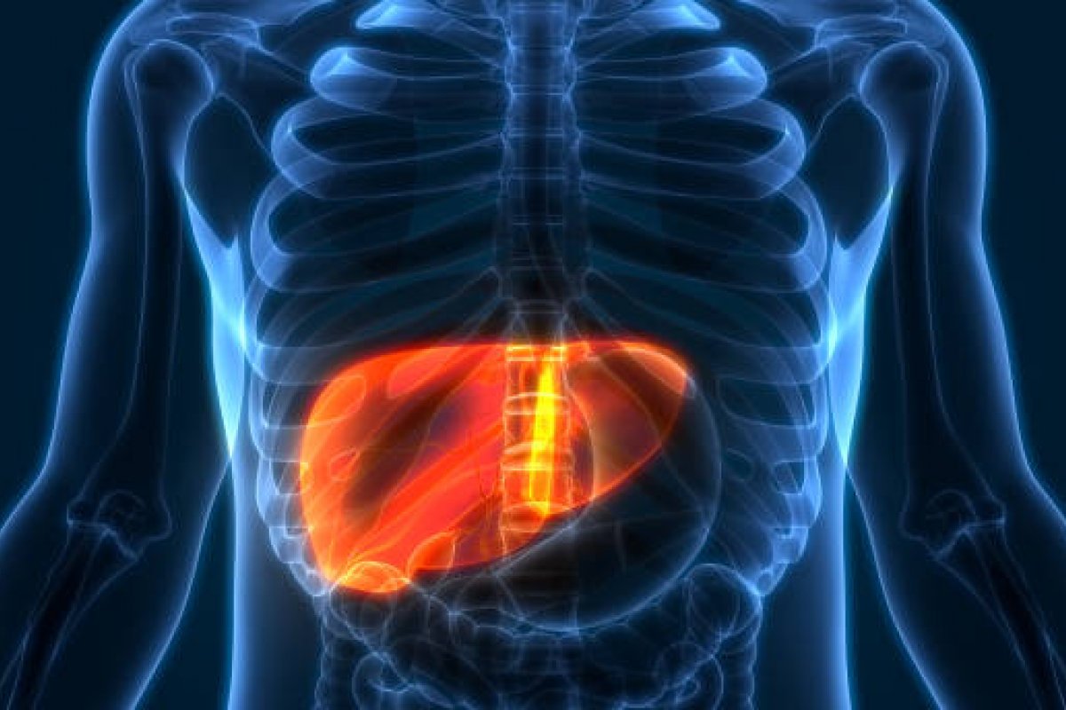 Pesquisa aponta hepatites virais B e C como principais causas do câncer de fígado