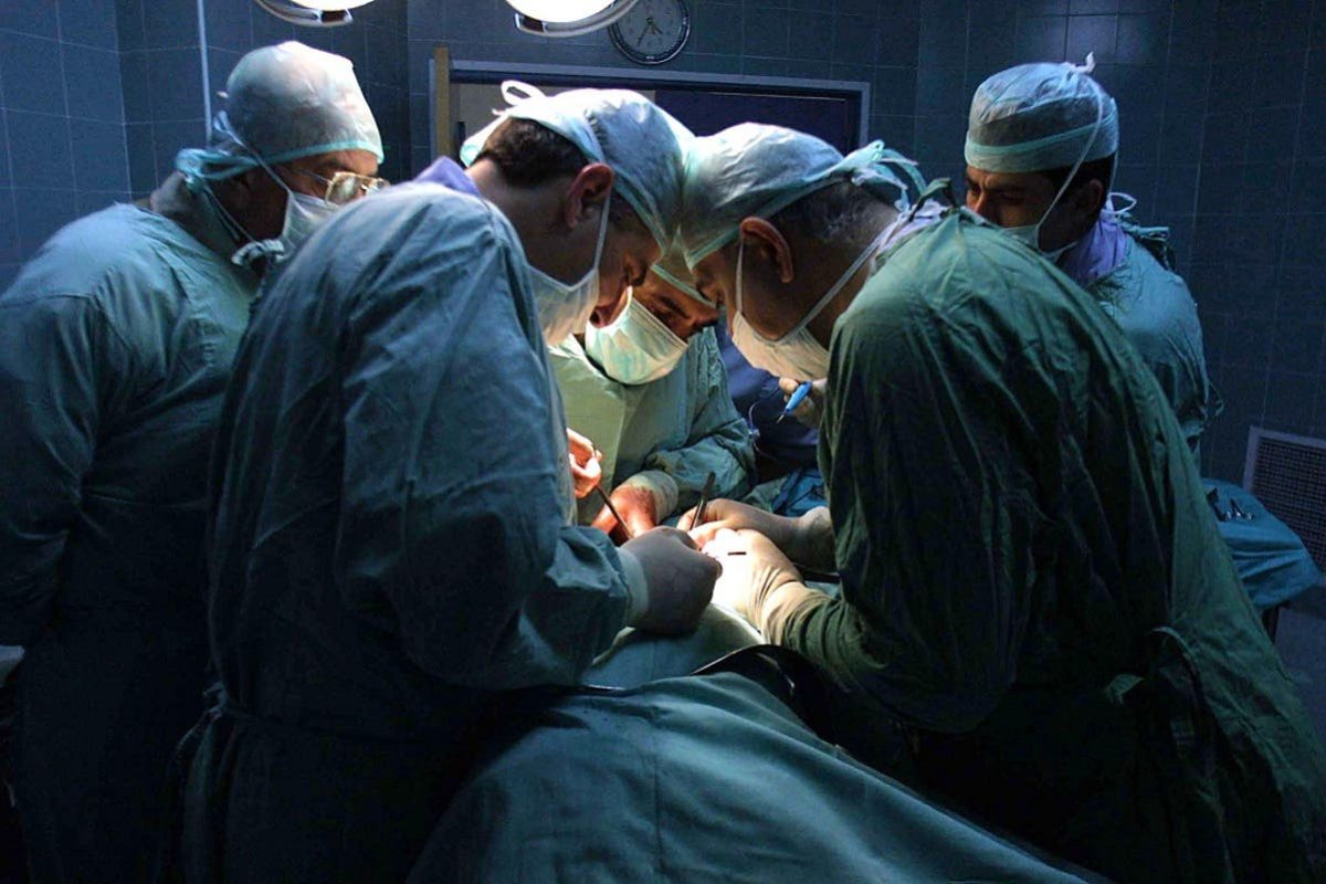 Primeiro transplante de rim de um animal para ser humano é realizado em Nova York 