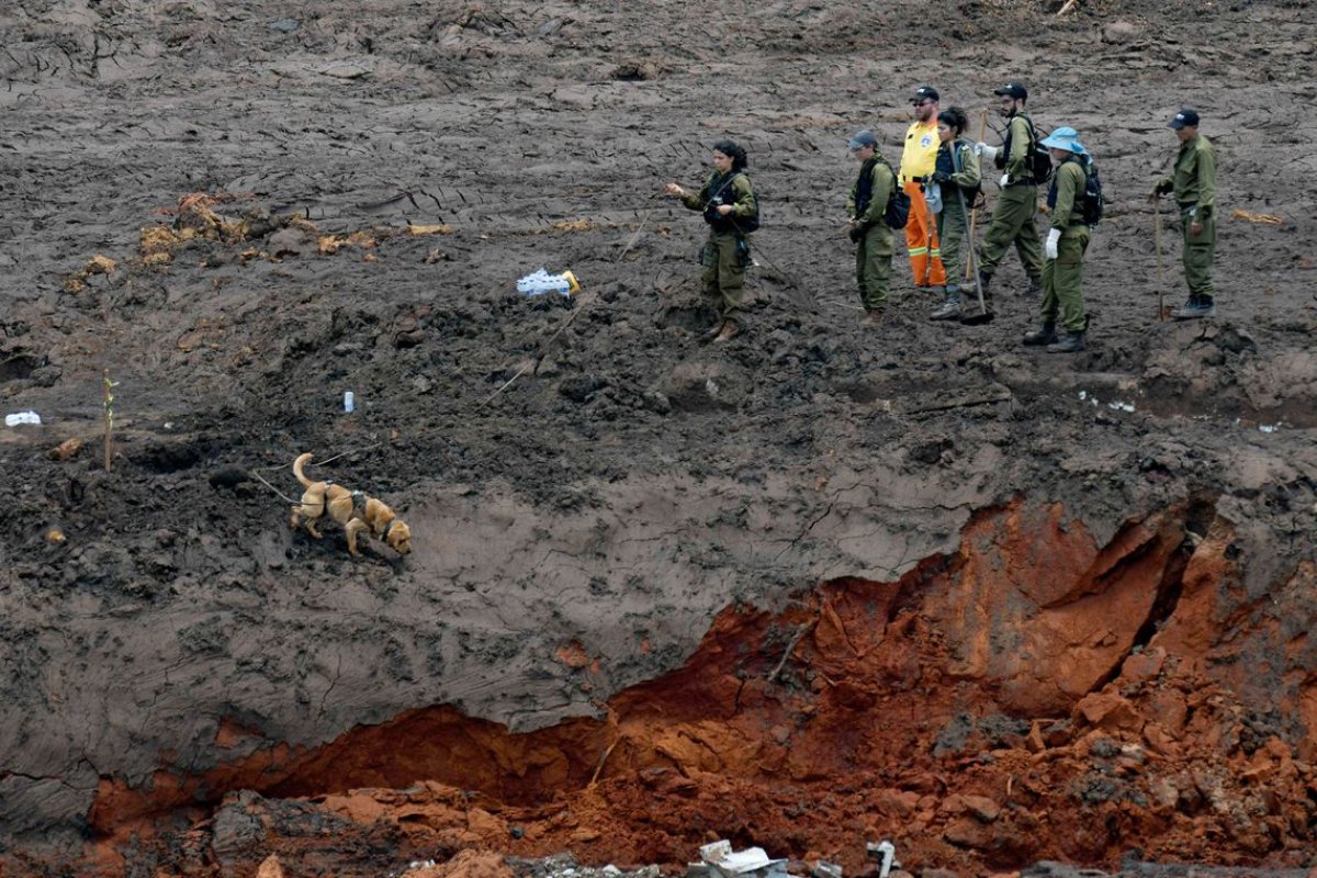 Após oito meses, mais um corpo de vítima é encontrado em Brumadinho