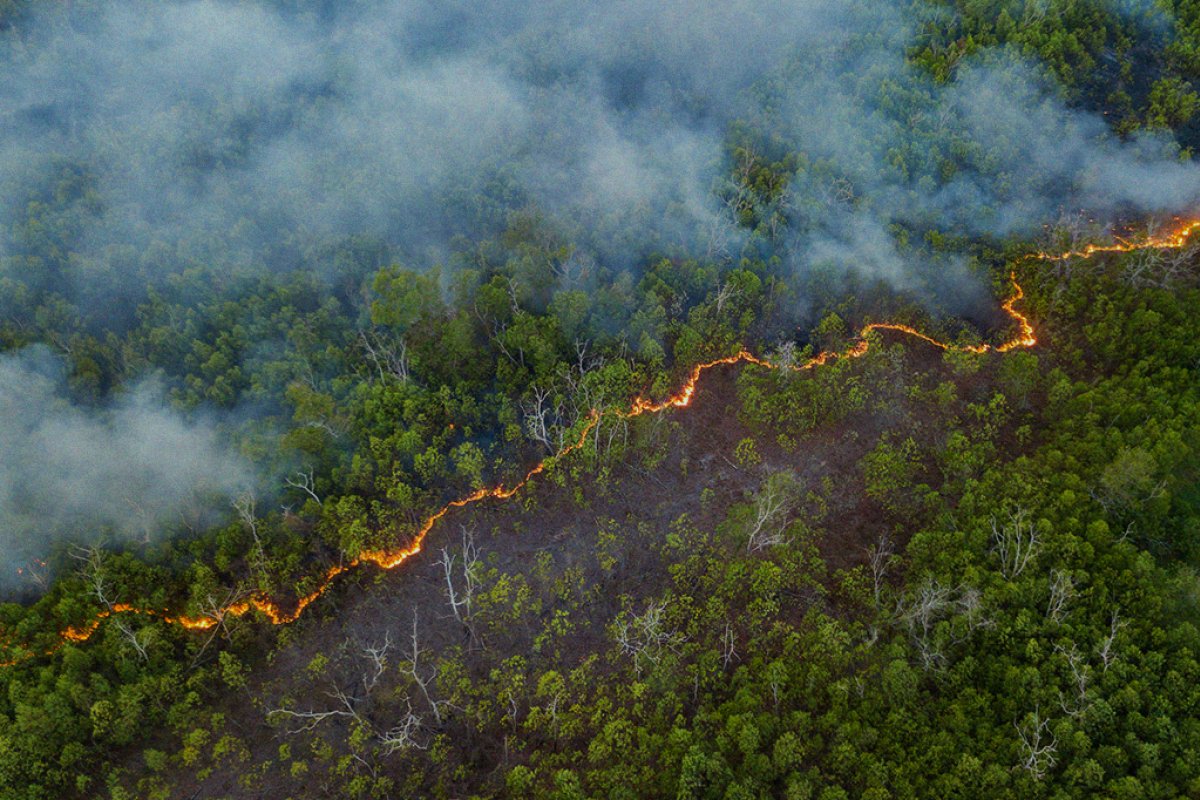 Pesquisa mostra que 78% dos brasileiros se preocupam com as mudanças climáticas