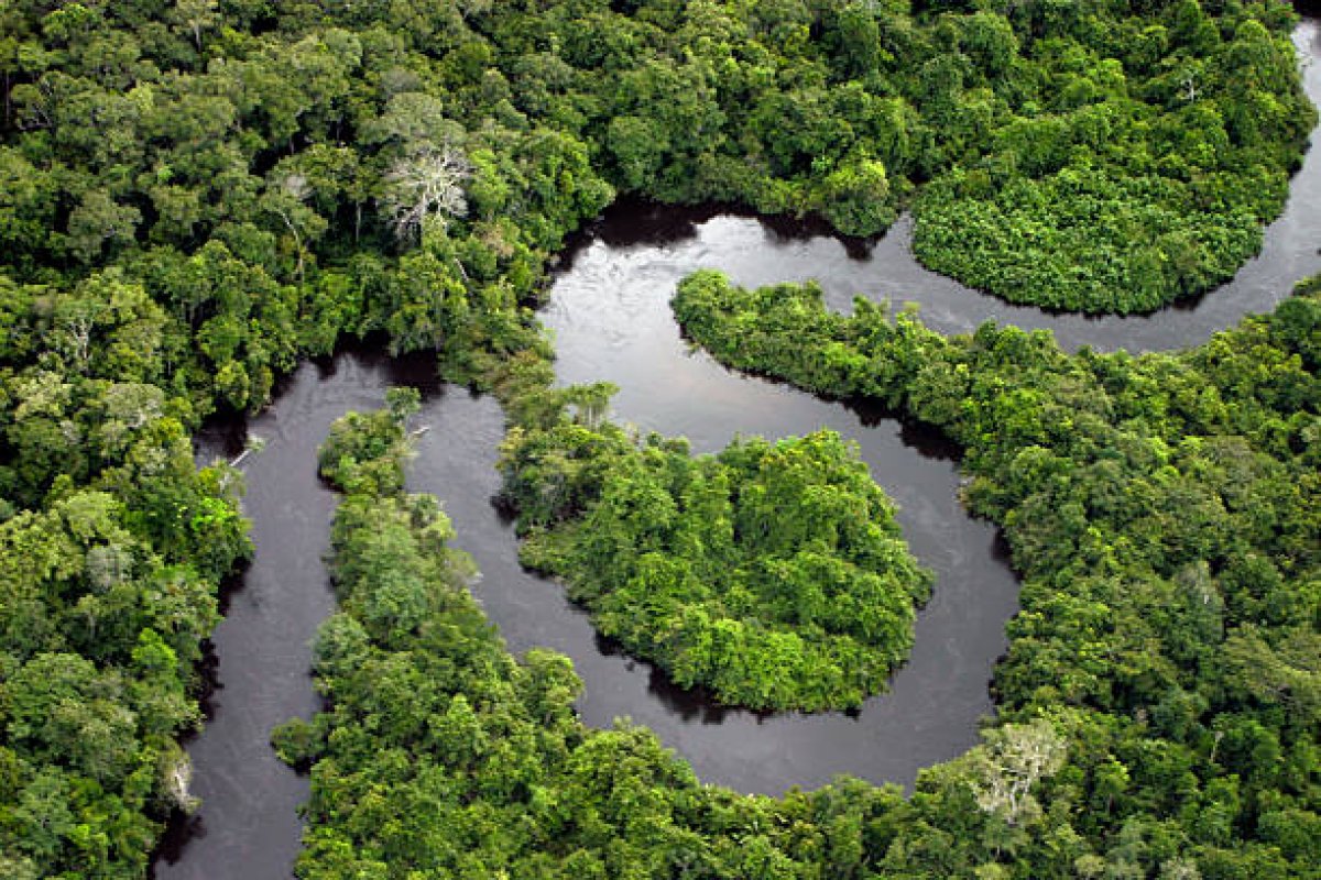 Ministro do Meio Ambiente abre participação do Brasil na COP26 nesta segunda-feira (1º)