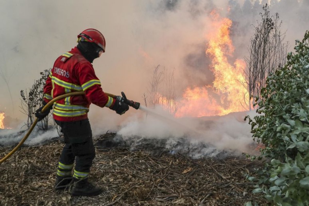 Gel que previne incêndios passa por últimos testes de eficácia 