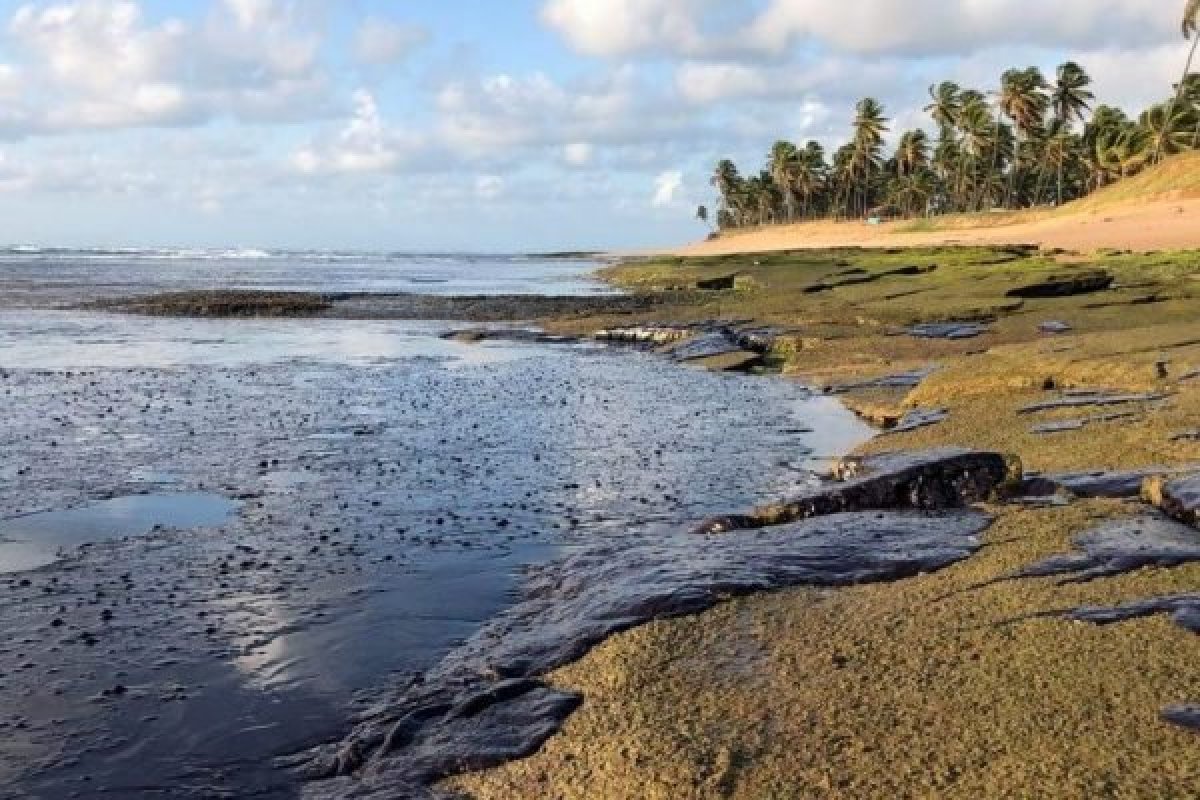 800 dias depois de vazamento de óleo no litoral brasileiro, investigação segue sem identificar os culpados