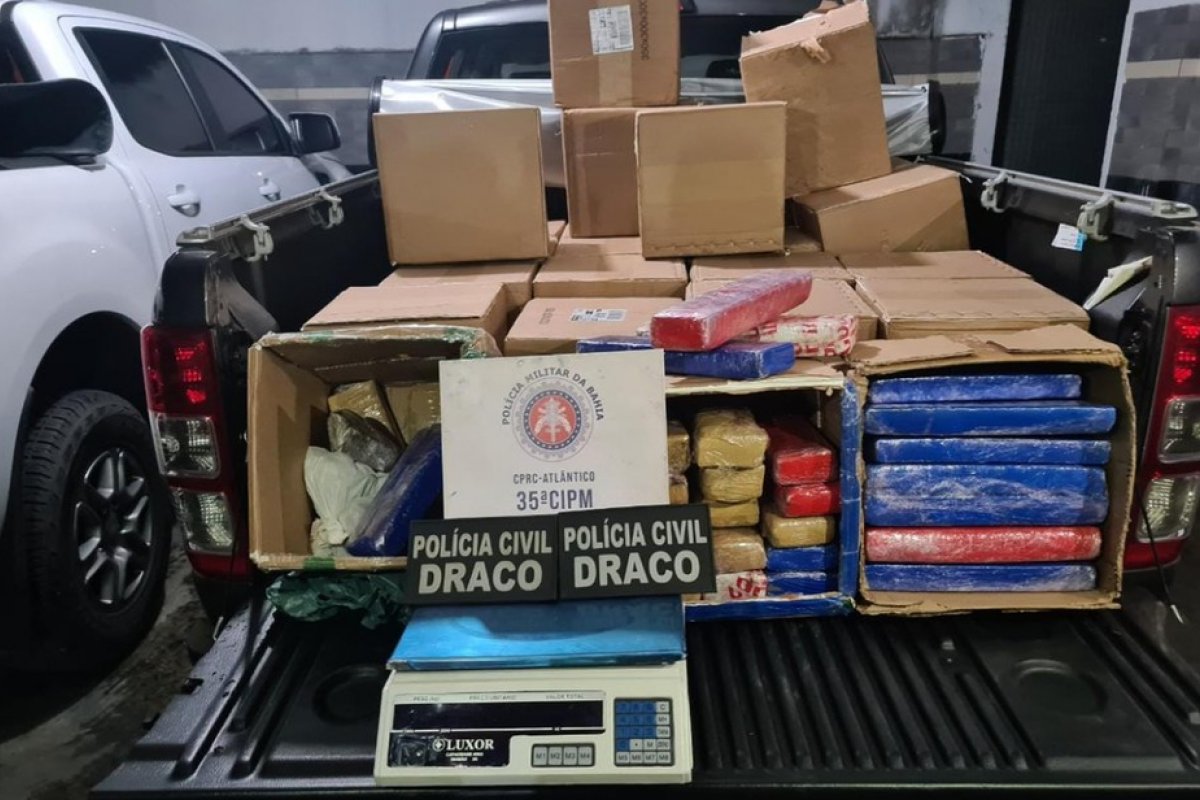 Polícia apreende meia tonelada de maconha no bairro de São Cristóvão, em Salvador