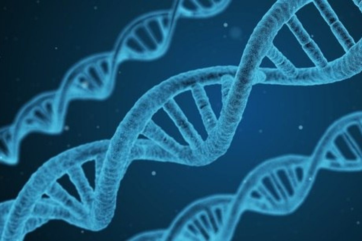 Após 40 anos, teste de DNA ajuda a identificar vítima de serial killer 