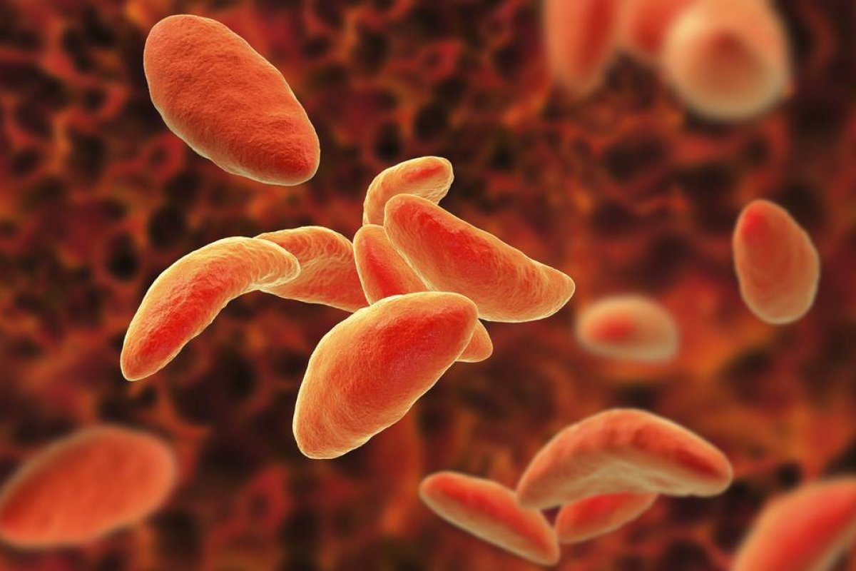 Cientistas descobrem que parasita da toxoplasmose pode ajudar no tratamento do câncer