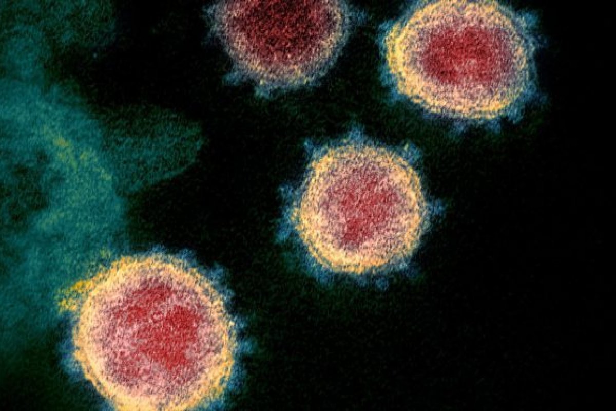 Anvisa realiza monitoramento de brasileiro vindo da África e diagnosticado com Covid-19