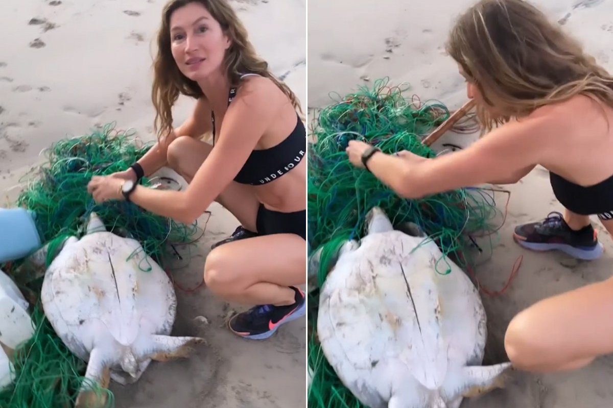 Gisele Bündchen salva tartaruga presa em lixo na praia 