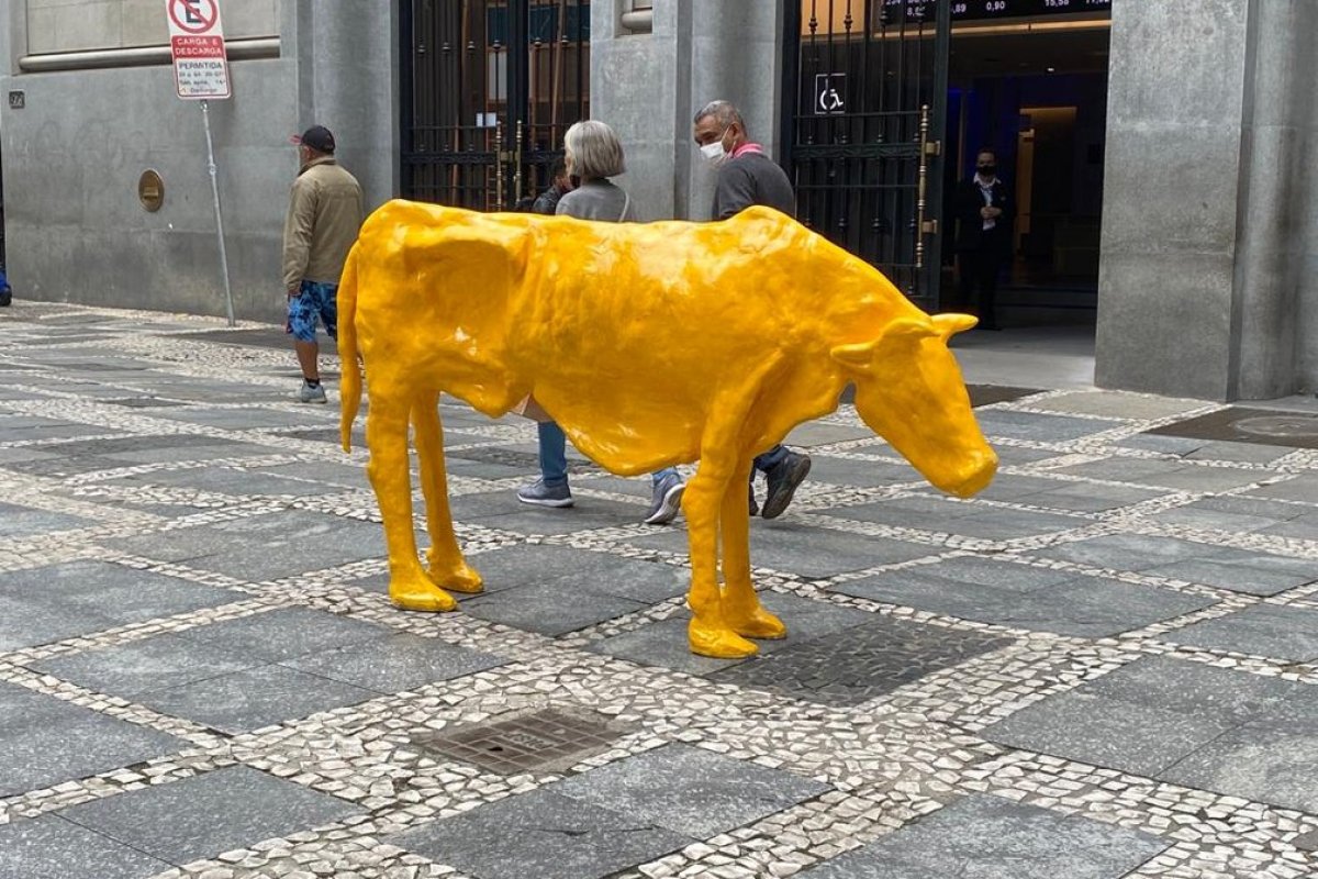 Após 5h exposta, ‘vaca magra’ é retirada da Bolsa de Valores para não ser apreendida 