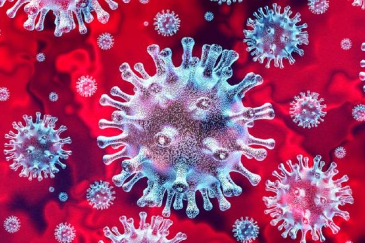 Cientistas capturam primeiras imagens da variante Ômicron; veja