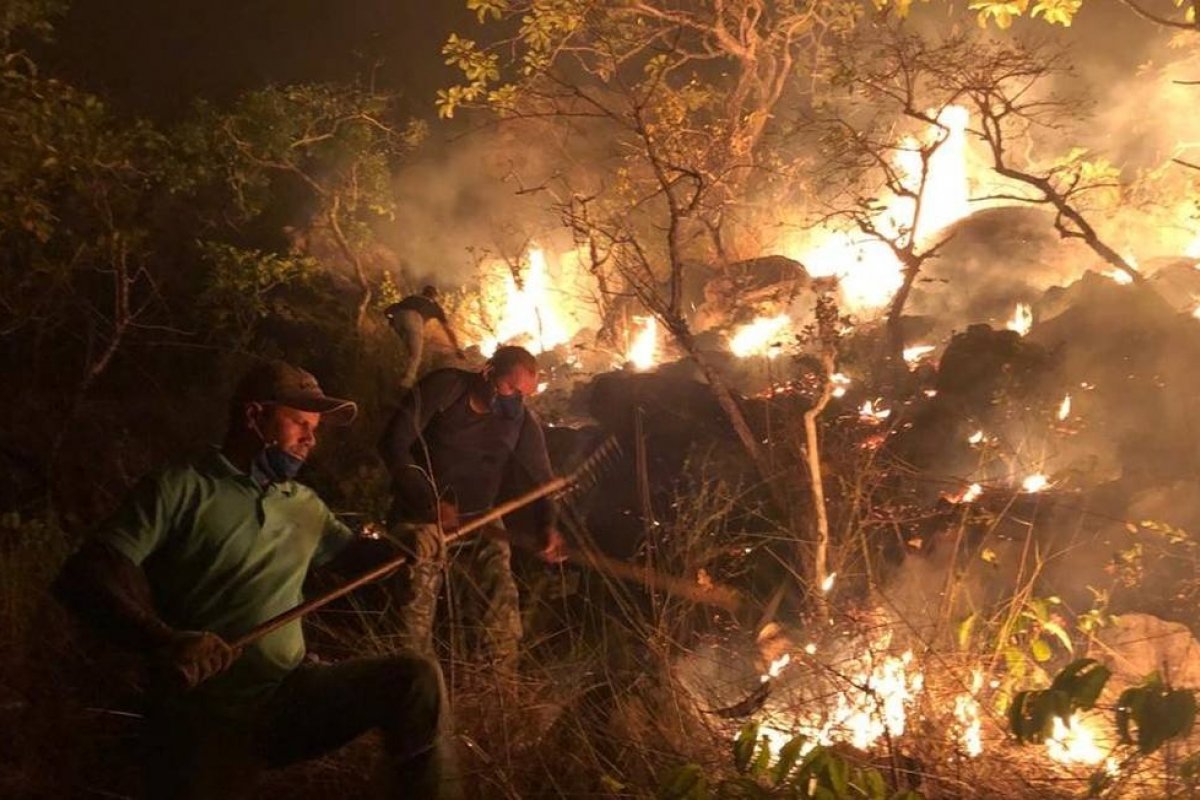 No Pará, incêndio atinge sítio arqueológico com pinturas rupestres de 11 mil anos 
