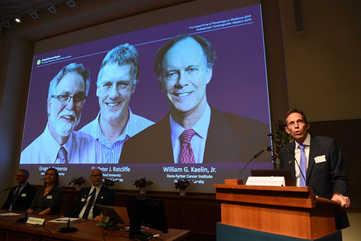 Descoberta de adaptação de células à disponibilidade de oxigênio garante Nobel de Medicina
