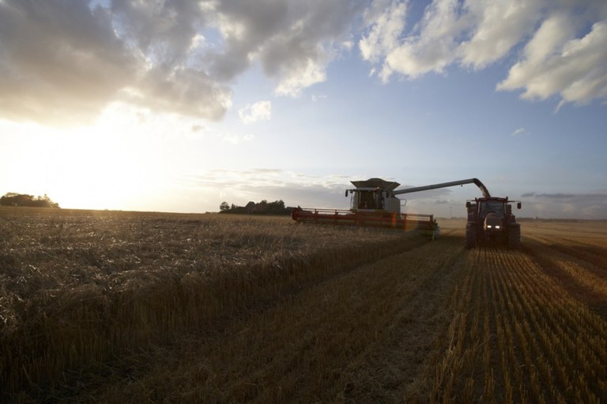 Mapa estima valor da produção agropecuária de 2021 em R$ 1,113 trilhão